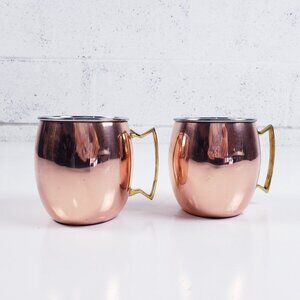 Copper Coated Drinking Moscow Mule Mugs With Brass Handle Set Of 2